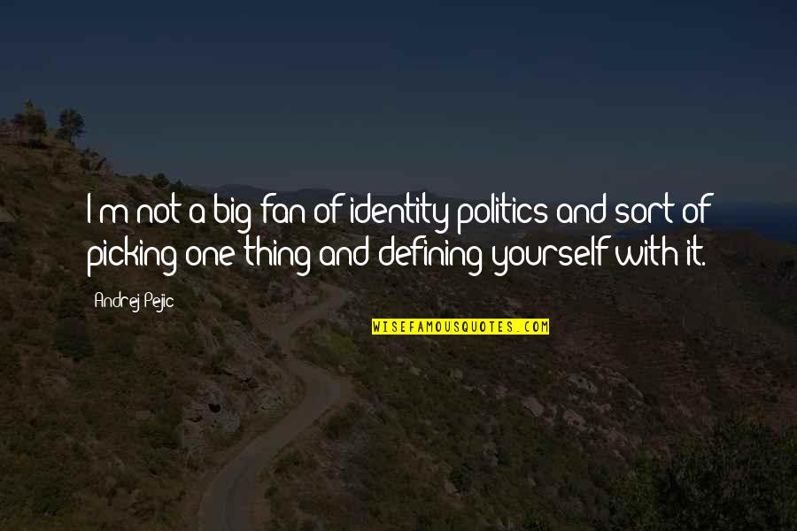 Not Defining Yourself Quotes By Andrej Pejic: I'm not a big fan of identity politics