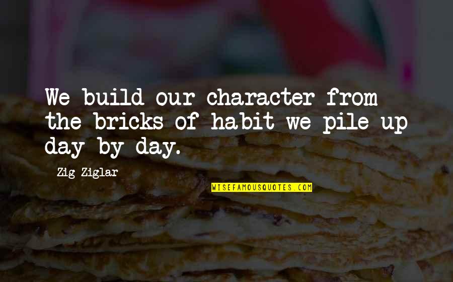 Not Doing Drugs And Alcohol Quotes By Zig Ziglar: We build our character from the bricks of
