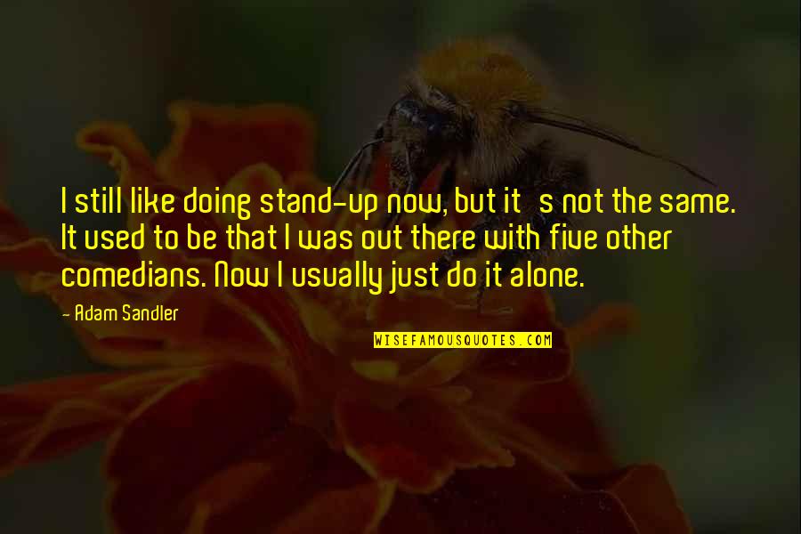 Not Doing It Alone Quotes By Adam Sandler: I still like doing stand-up now, but it's