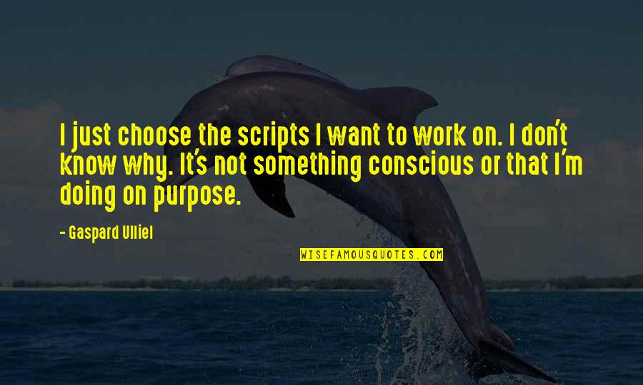 Not Doing Work Quotes By Gaspard Ulliel: I just choose the scripts I want to