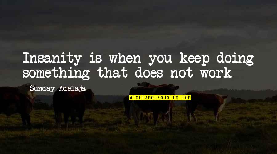 Not Doing Work Quotes By Sunday Adelaja: Insanity is when you keep doing something that