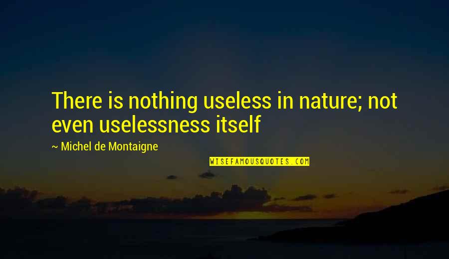 Not Even There Quotes By Michel De Montaigne: There is nothing useless in nature; not even