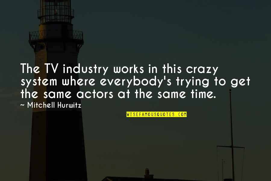 Not Everybody's The Same Quotes By Mitchell Hurwitz: The TV industry works in this crazy system