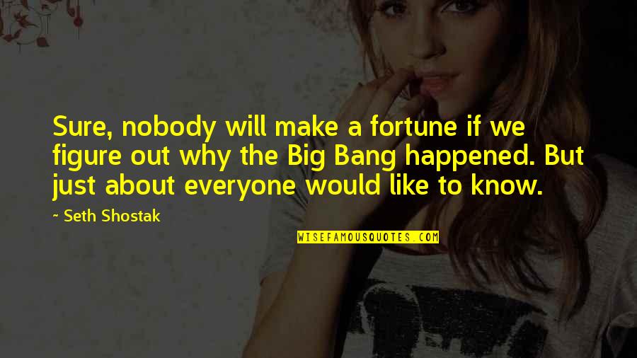 Not Everyone Will Like You Quotes By Seth Shostak: Sure, nobody will make a fortune if we
