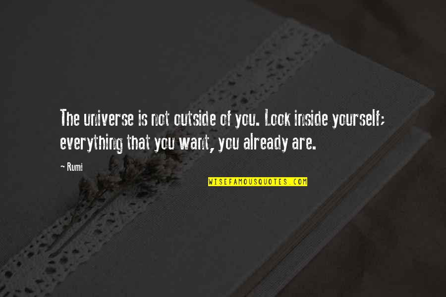 Not Everything You Want Quotes By Rumi: The universe is not outside of you. Look