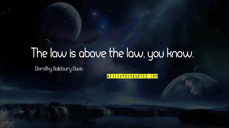 Not Expecting Things In Return Quotes By Dorothy Salisbury Davis: The law is above the law, you know.