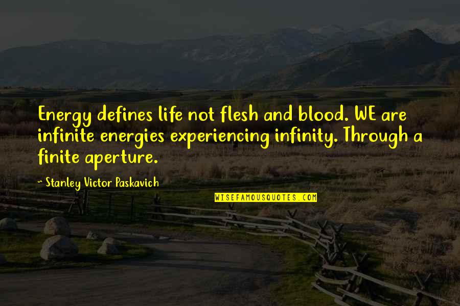 Not Experiencing Life Quotes By Stanley Victor Paskavich: Energy defines life not flesh and blood. WE
