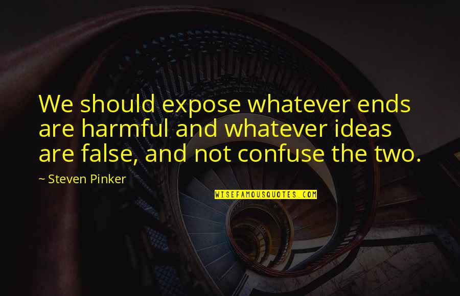 Not Expose Quotes By Steven Pinker: We should expose whatever ends are harmful and