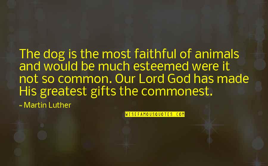 Not Faithful Quotes By Martin Luther: The dog is the most faithful of animals