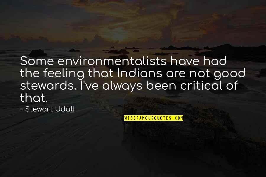 Not Feeling Good Quotes By Stewart Udall: Some environmentalists have had the feeling that Indians