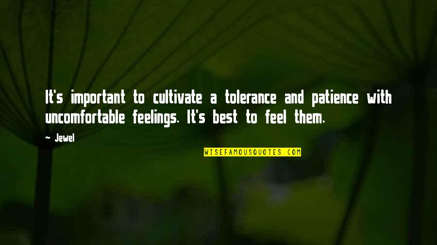Not Feeling Important Quotes By Jewel: It's important to cultivate a tolerance and patience