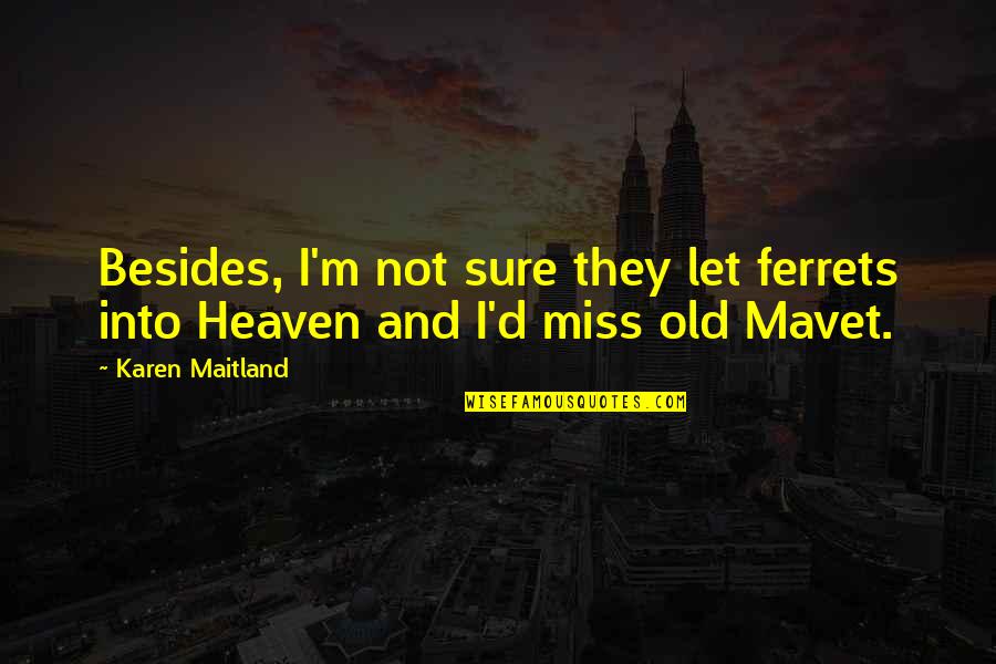 Not Feeling Inadequate Quotes By Karen Maitland: Besides, I'm not sure they let ferrets into