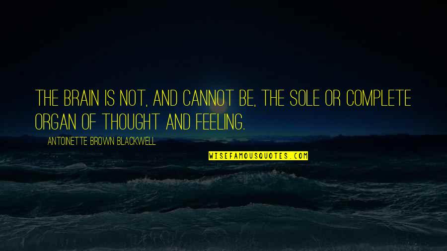 Not Feelings Quotes By Antoinette Brown Blackwell: The brain is not, and cannot be, the