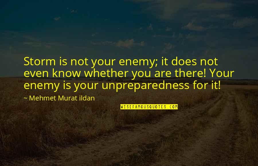 Not For You Quotes By Mehmet Murat Ildan: Storm is not your enemy; it does not