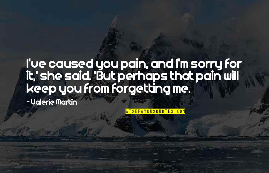 Not Forgetting The Pain Quotes By Valerie Martin: I've caused you pain, and I'm sorry for
