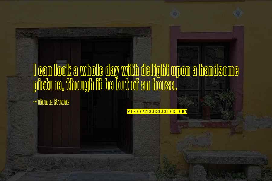 Not Forgetting Your True Friends Quotes By Thomas Browne: I can look a whole day with delight