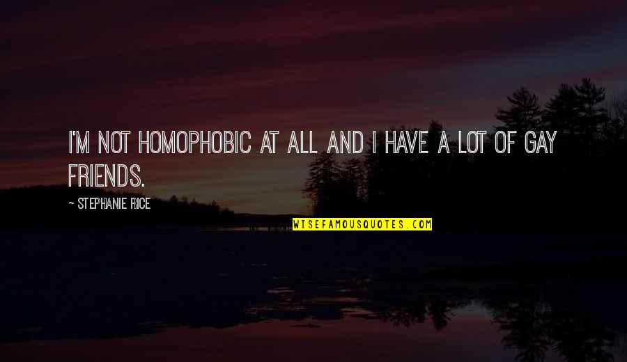 Not Friends Quotes By Stephanie Rice: I'm not homophobic at all and I have Not Friends Quotes By Stephanie Rice: I'm not homophobic at all and I have