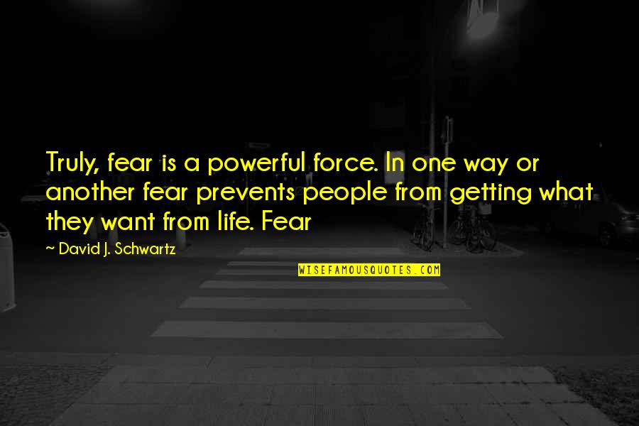 Not Getting What You Want In Life Quotes By David J. Schwartz: Truly, fear is a powerful force. In one
