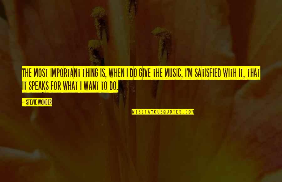 Not Giving Up On What You Want Quotes By Stevie Wonder: The most important thing is, when I do