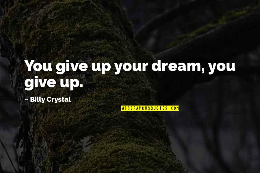 Not Giving Up On Your Dream Quotes By Billy Crystal: You give up your dream, you give up.