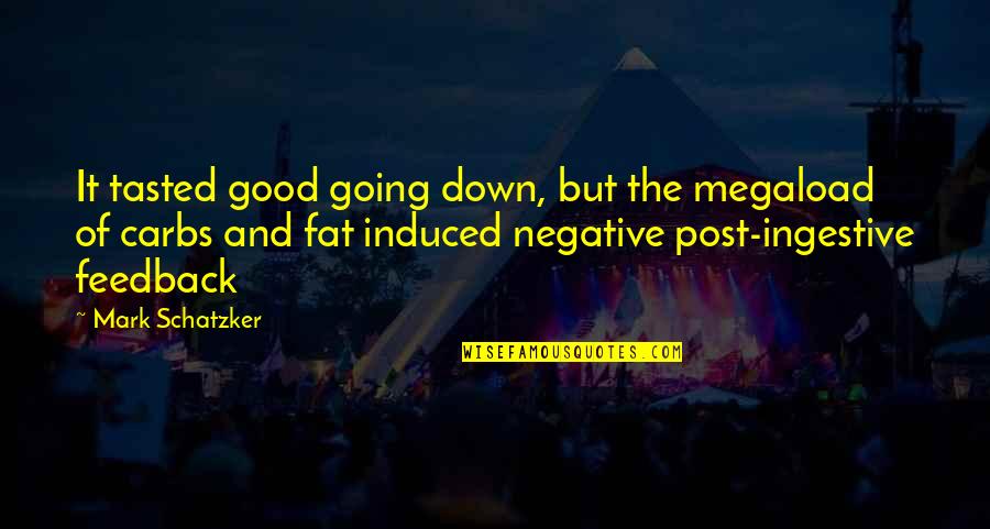 Not Giving Up When Things Go Wrong Quotes By Mark Schatzker: It tasted good going down, but the megaload