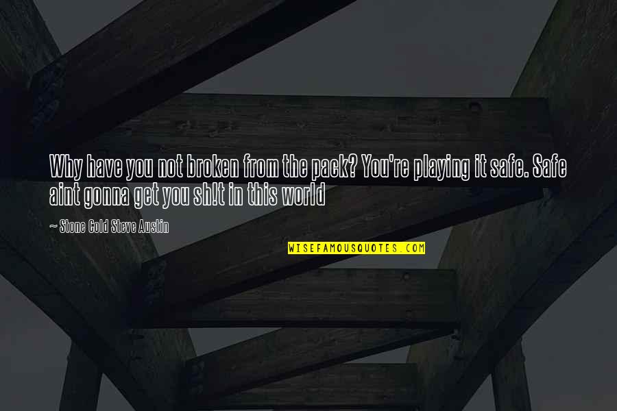 Not Giving You Up Quotes By Stone Cold Steve Austin: Why have you not broken from the pack?