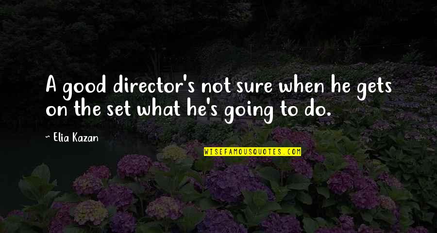 Not Going Good Quotes By Elia Kazan: A good director's not sure when he gets