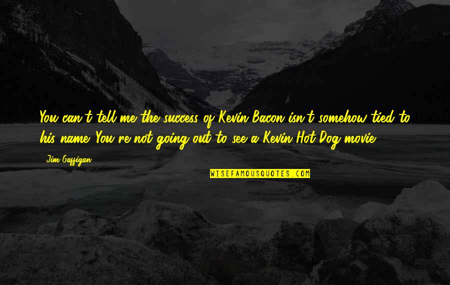 Not Going Out Quotes By Jim Gaffigan: You can't tell me the success of Kevin