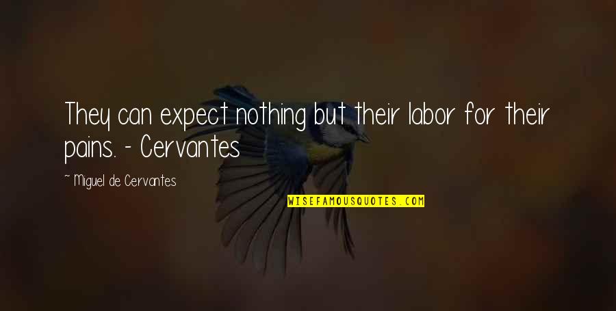 Not Hating Enemies Quotes By Miguel De Cervantes: They can expect nothing but their labor for