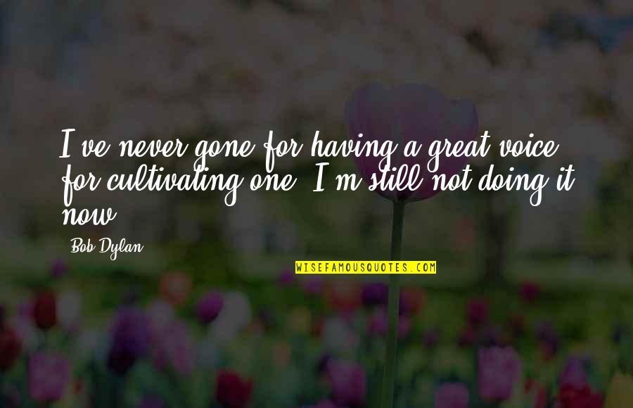 Not Having A Voice Quotes By Bob Dylan: I've never gone for having a great voice,