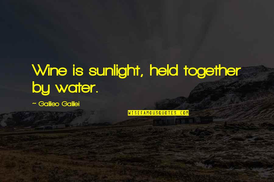 Not Having Mercy Quotes By Galileo Galilei: Wine is sunlight, held together by water.