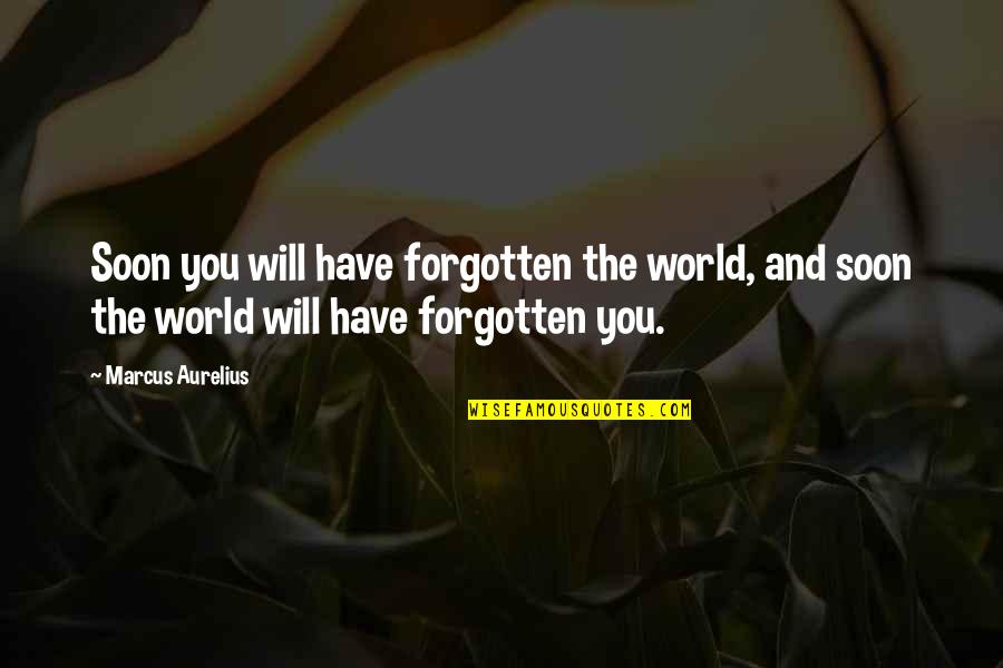 Not Having The Words To Say Quotes By Marcus Aurelius: Soon you will have forgotten the world, and