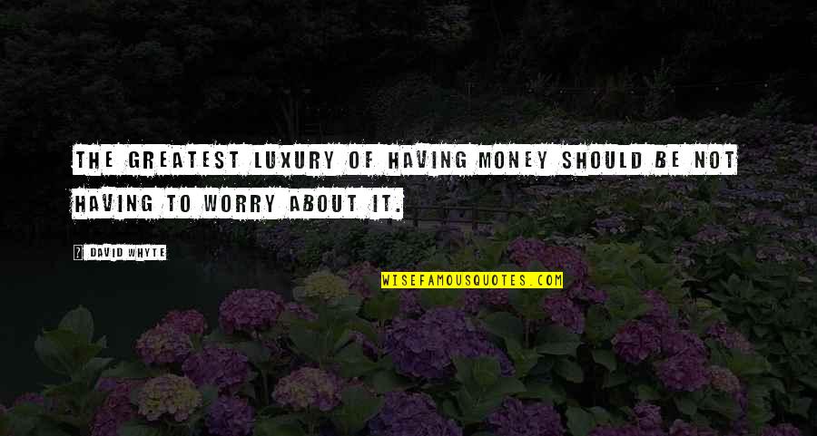 Not Having To Worry Quotes By David Whyte: The greatest luxury of having money should be