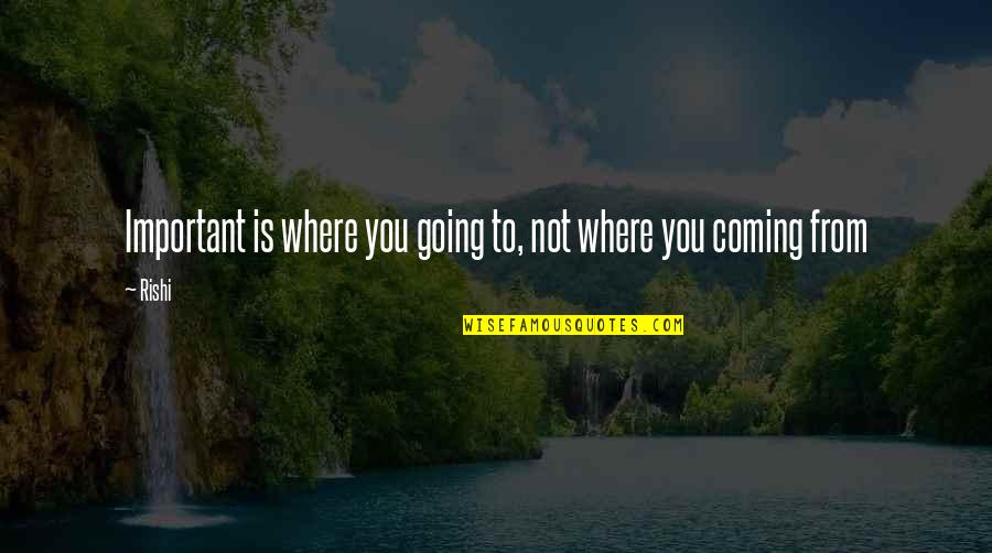 Not Important To You Quotes By Rishi: Important is where you going to, not where