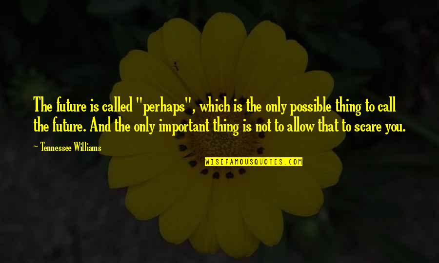 Not Important To You Quotes By Tennessee Williams: The future is called "perhaps", which is the