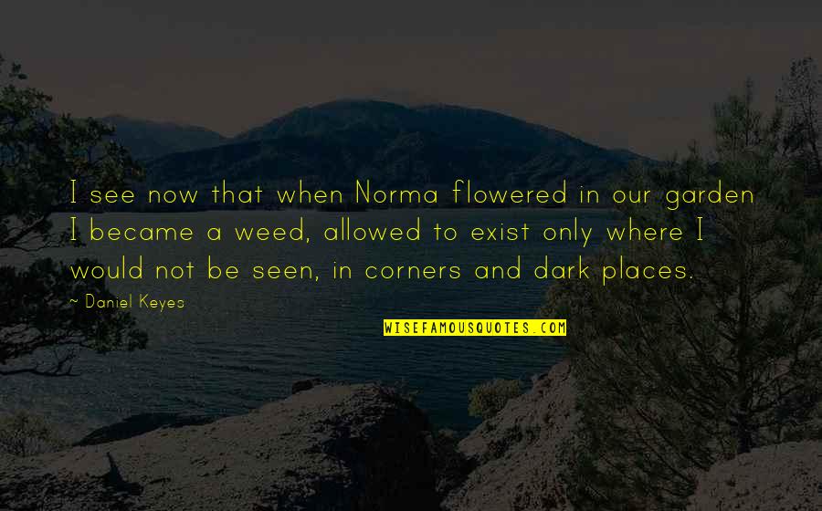 Not In Dark Quotes By Daniel Keyes: I see now that when Norma flowered in