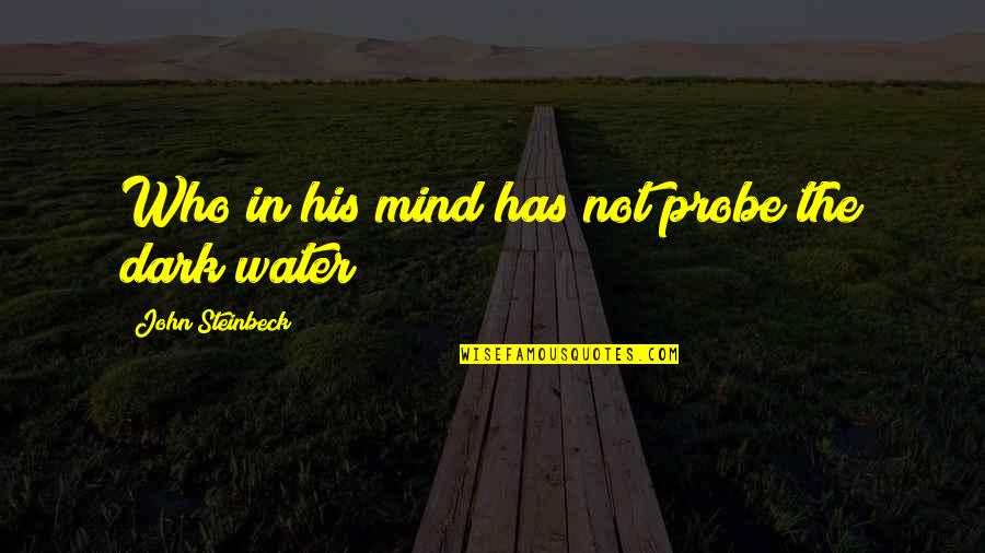 Not In Dark Quotes By John Steinbeck: Who in his mind has not probe the