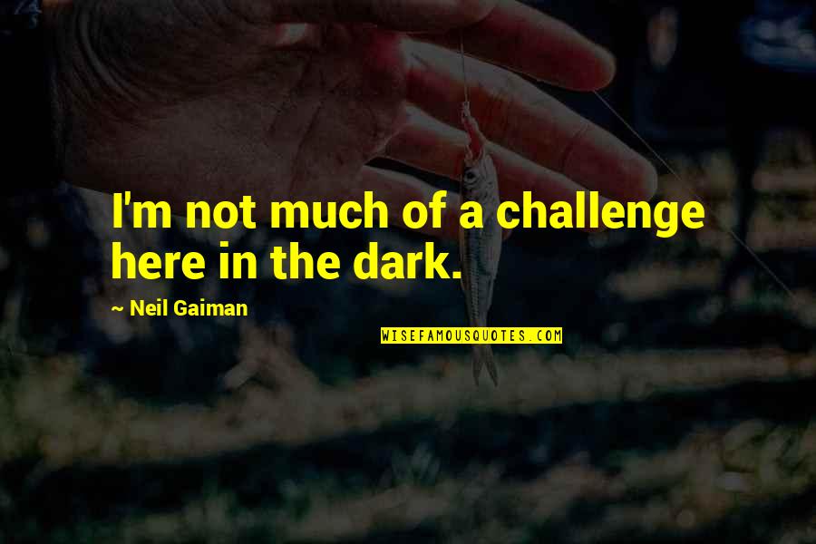 Not In Dark Quotes By Neil Gaiman: I'm not much of a challenge here in