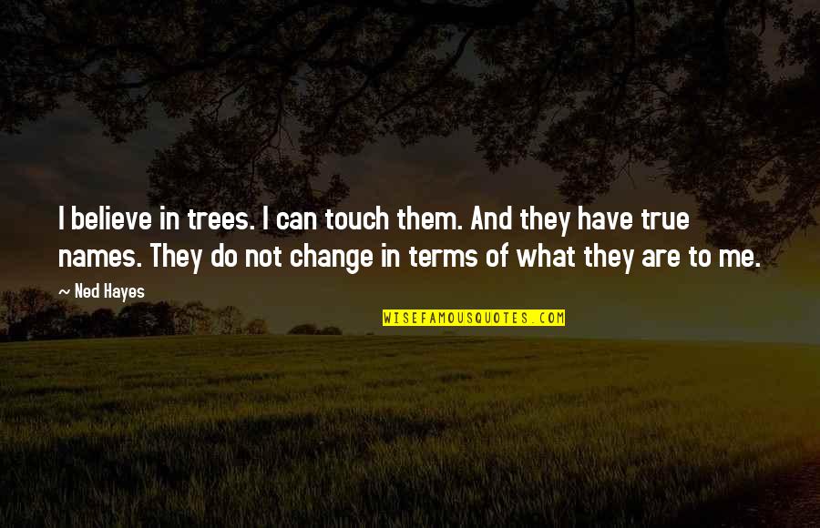 Not In Touch Quotes By Ned Hayes: I believe in trees. I can touch them.