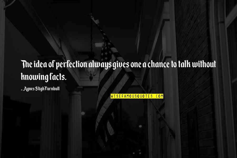 Not Knowing All The Facts Quotes By Agnes Sligh Turnbull: The idea of perfection always gives one a