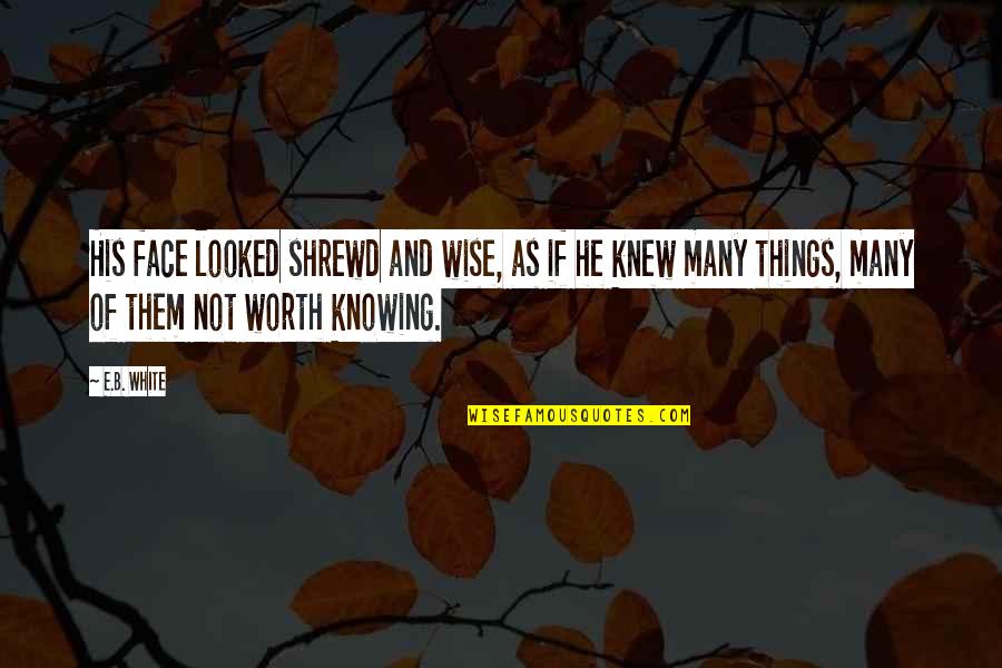 Not Knowing Things Quotes By E.B. White: His face looked shrewd and wise, as if