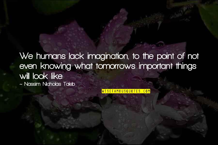 Not Knowing Things Quotes By Nassim Nicholas Taleb: We humans lack imagination, to the point of