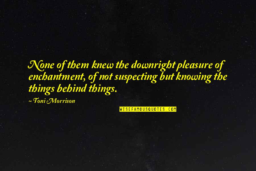 Not Knowing Things Quotes By Toni Morrison: None of them knew the downright pleasure of