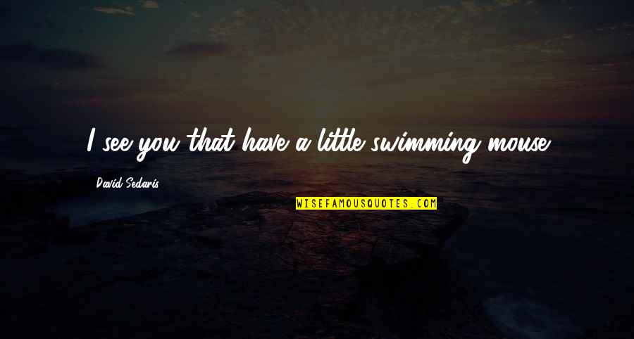 Not Knowing What To Do About A Boy Quotes By David Sedaris: I see you that have a little swimming