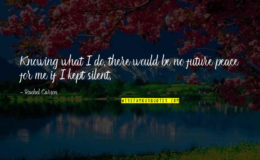 Not Knowing What To Do In The Future Quotes By Rachel Carson: Knowing what I do, there would be no