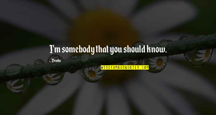 Not Knowing What U Have Till It's Gone Quotes By Drake: I'm somebody that you should know.