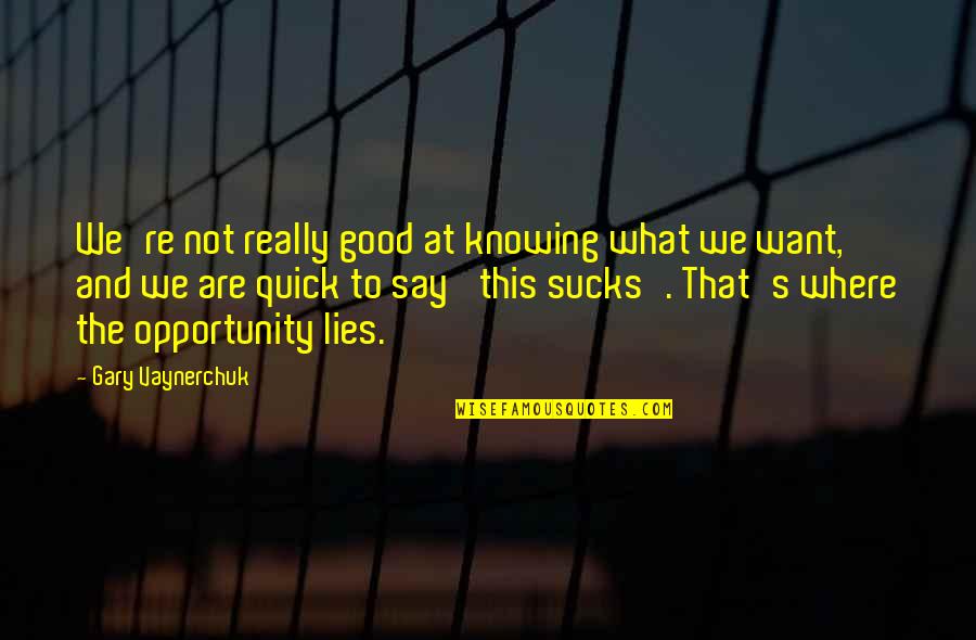 Not Knowing What U Want Quotes By Gary Vaynerchuk: We're not really good at knowing what we