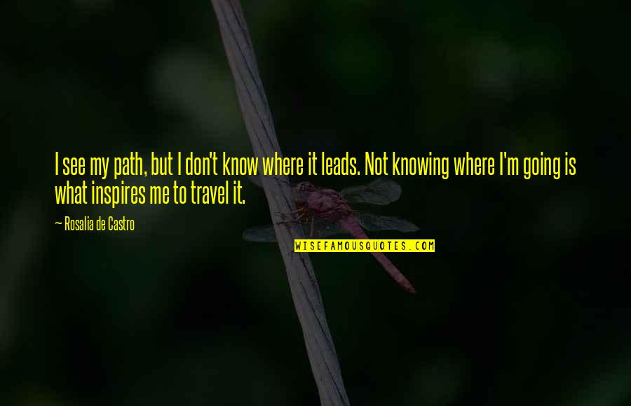 Not Knowing What You Don Know Quotes By Rosalia De Castro: I see my path, but I don't know