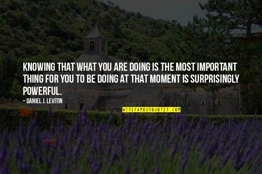 Not Knowing What You're Doing Quotes By Daniel J. Levitin: Knowing that what you are doing is the