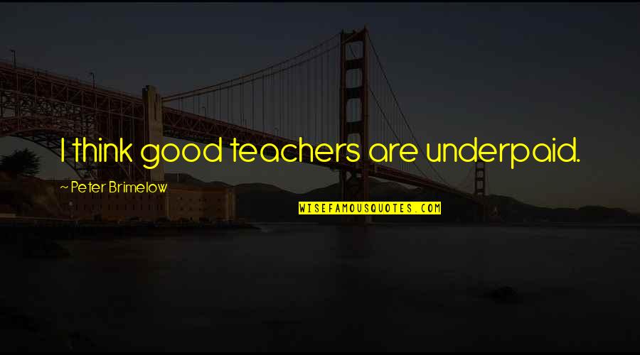 Not Knowing What You're Talking About Quotes By Peter Brimelow: I think good teachers are underpaid.